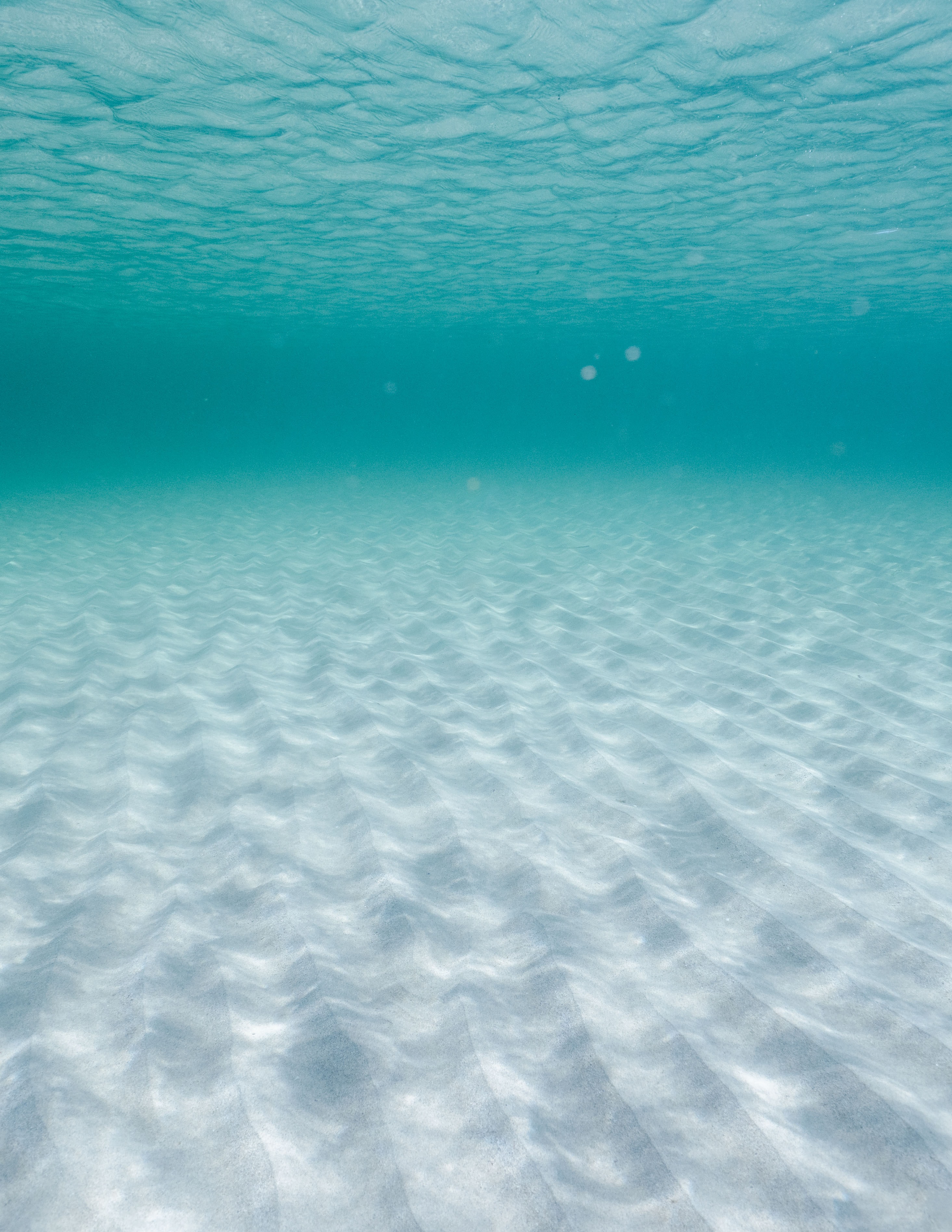2007, RPS Hydrosearch, Gunfleet Sands 1 and 2, Analysis of ROV Targets